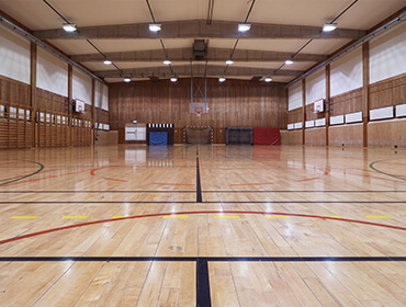 LSV For Indoor & Outdoor Stadiums