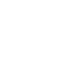 lsv-badge